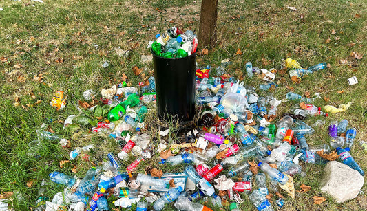 Unleash your inner Littergeek