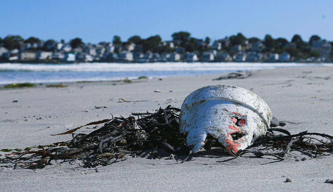 credit: Brian Yurasits on Unsplash